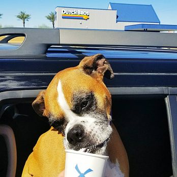 Dutch Bros Coffee - And they have puppichino - Coffee & Tea Near Me - Glendale, Arizona Dutch Bros Coffee - And they have puppichino - Coffee & Tea Near Me - Glendale, Arizona