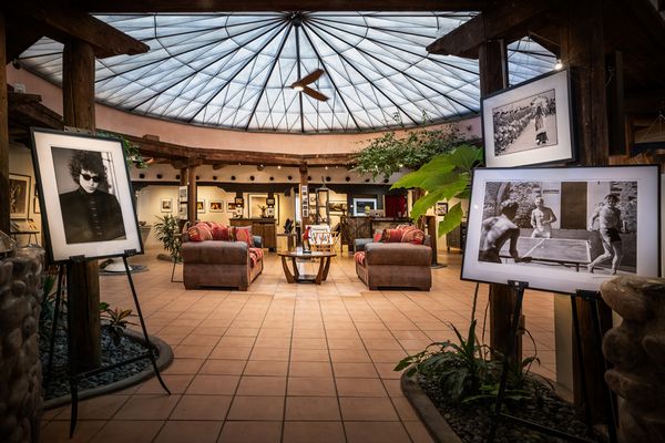 Edition ONE Gallery by null