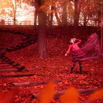 Shayne Gray Photography - Video/Film Production Near Me - Toronto, Ontario