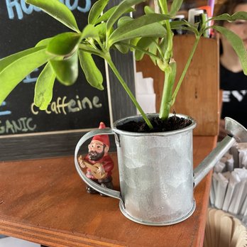 Trilogy Sanctuary - Watch out for the friendly gnomes - Juice Bars & Smoothies Near Me - La Jolla, California