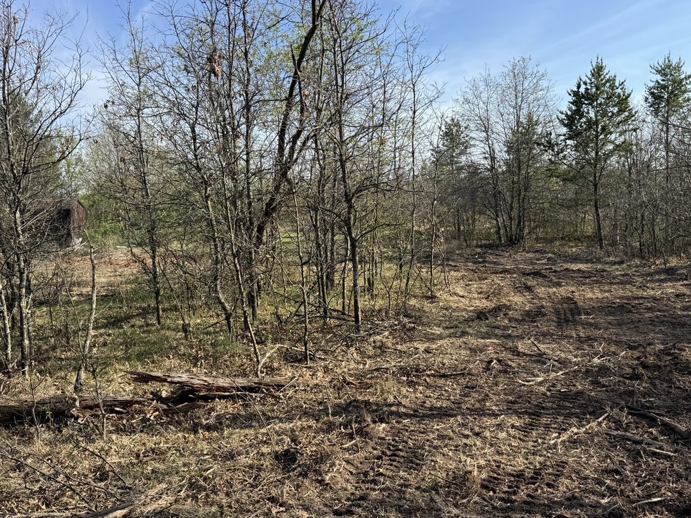 A&E Forestry Mulching - tree service in Portage, WI