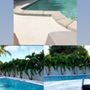Photo of National Pool Design