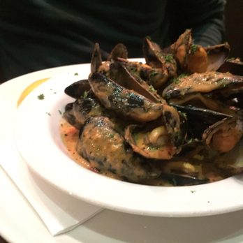 Macs Ice Cream & Restaurant - Starter mussels - Ice Cream & Frozen Yogurt Near Me - Killarney, Kentucky Macs Ice Cream & Restaurant - Starter mussels - Ice Cream & Frozen Yogurt Near Me - Killarney, Kentucky