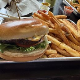 Cheeseburger and fries $15.99 on 03/22/25