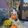 Photo of The Florist At Laura Ann Farms