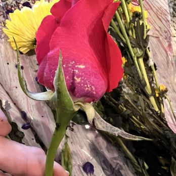Ingles Markets #94 - Roses with mold even after peeling petals away - Drugstores Near Me - Seneca, South Carolina