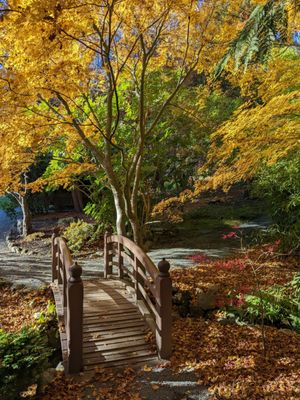 Hatley Castle by null