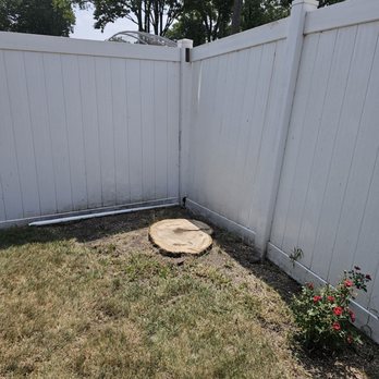 Jesus Tree Expert - Tree Services Near Me - Kenilworth, New Jersey Jesus Tree Expert - Tree Services Near Me - Kenilworth, New Jersey