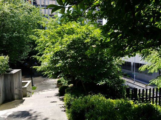 Freeway Park by null