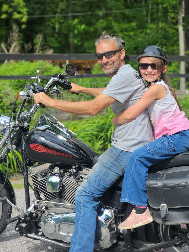 Dan the Tree Man - tree service in Derry, NH