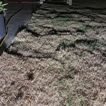 Pablo's Landscape - Rough sod and grading - Irrigation Near Me - Dacula, Georgia