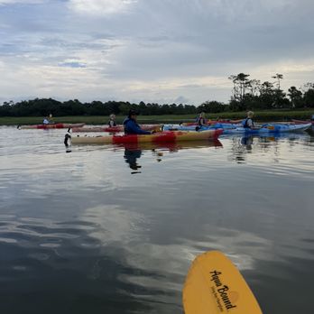 Coastal Expeditions - Tours Near Me - Mount Pleasant, South Carolina Coastal Expeditions - Tours Near Me - Mount Pleasant, South Carolina