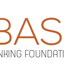 BASEco Sinking Foundation Solutions