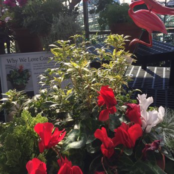 Calloway's Nursery - Great pots with arrangements! - Nurseries & Gardening Near Me - Richardson, Texas