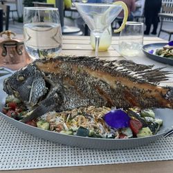 Fin - Sea Bass