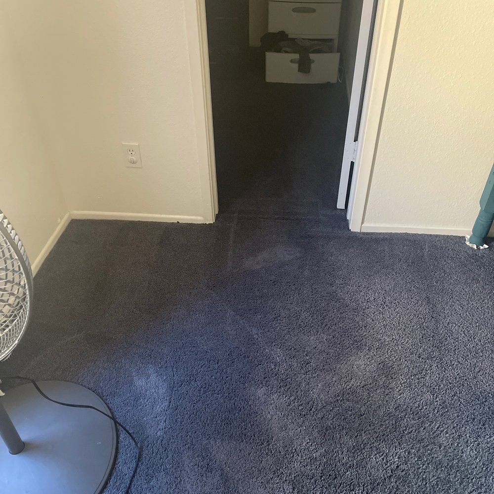 Kirkland Steemer Carpet Care - Even got in the closets - Carpet Cleaning Near Me Kirkland Steemer Carpet Care - Even got in the closets - Carpet Cleaning Near Me
