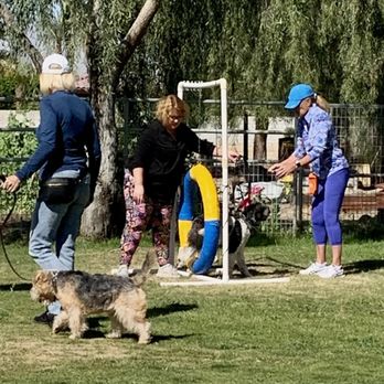 Dream Dogs - New beginners course - Pet Training Near Me - Bermuda Dunes, California Dream Dogs - New beginners course - Pet Training Near Me - Bermuda Dunes, California
