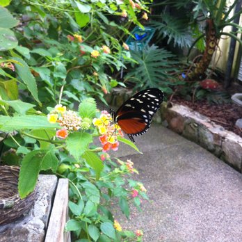 Butterfly World - Tours Near Me - Coombs, British Columbia