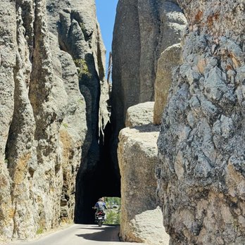Custer State Park - Parks Near Me - Custer, South Dakota Custer State Park - Parks Near Me - Custer, South Dakota