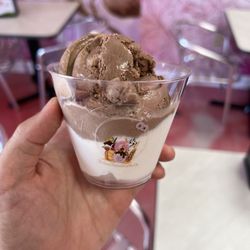 Tasty Treats - Chocolate and vanilla ice cream
