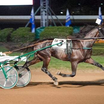 The Red Mile - Two year old champion Father Patrick wins the Bluegrass stake. - Casinos Near Me - Lexington, Kentucky