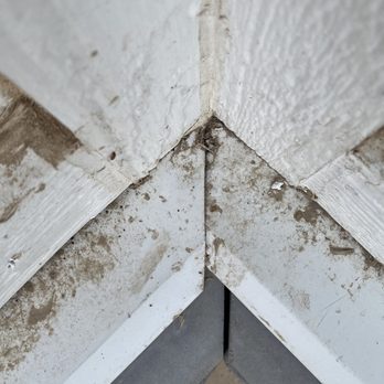 Aurora Exteriors - the corner of a corner of a house - General Contractors Near Me - Chatham, Ontario Aurora Exteriors - the corner of a corner of a house - General Contractors Near Me - Chatham, Ontario