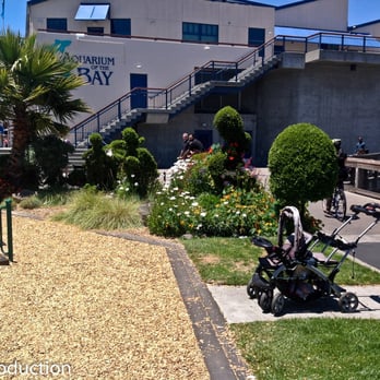 Sidney Rudy Waterfront Park - Parks Near Me - San Francisco, California Sidney Rudy Waterfront Park - Parks Near Me - San Francisco, California