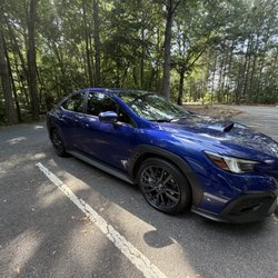 Tint Master
