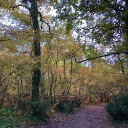 Boucle du Bois des Sources