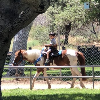 Irvine Regional Park Pony Ride - He asked to stop trotting the second time around. - Horseback Riding Near Me - Orange, California Irvine Regional Park Pony Ride - He asked to stop trotting the second time around. - Horseback Riding Near Me - Orange, California