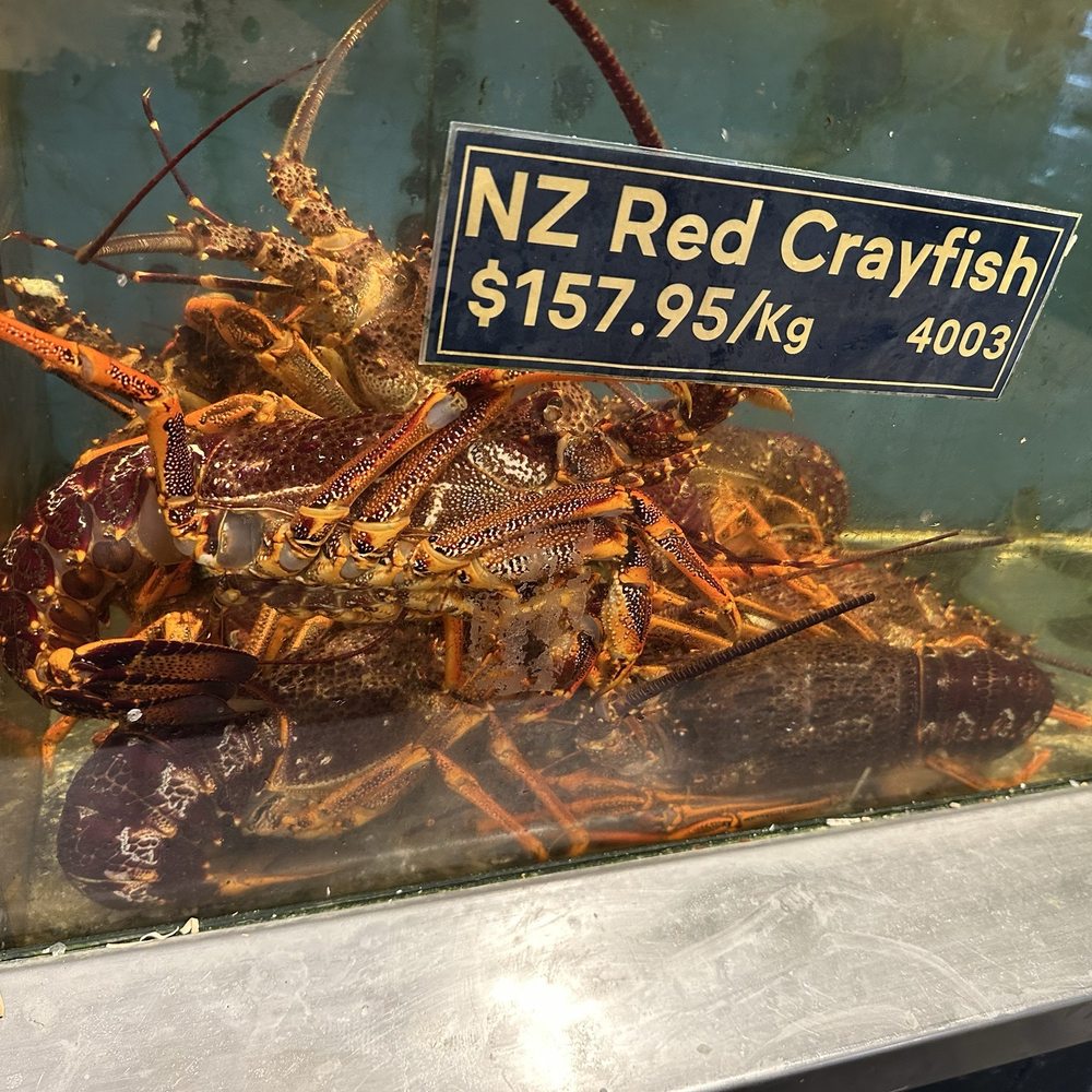 Sanford - Even bigger! - Seafood Markets Near Me - Auckland, AUK
