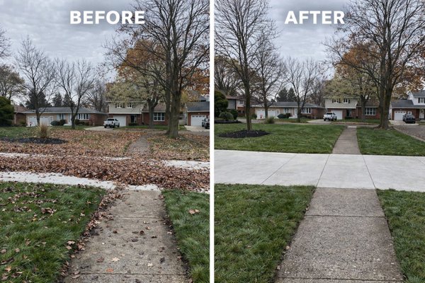 🍂 Complete Spring & Fall Clean-Up Solutions - Embrace Buffalo’s changing seasons without the mess! Our comprehensive spring and fall clean-ups are designed to prepare your yard for the months ahead. We remove leaves, branches, debris, and thatch buildup, ensuring your property is fresh, neat, and ready for growth or winter dormancy. Our team doesn’t cut corners—every clean-up is detailed and thorough, restoring order to your landscape so it always looks its best. 🍂 Complete Spring & Fall Clean-Up Solutions - Embrace Buffalo’s changing seasons without the mess! Our comprehensive spring and fall clean-ups are designed to prepare your yard for the months ahead. We remove leaves, branches, debris, and thatch buildup, ensuring your property is fresh, neat, and ready for growth or winter dormancy. Our team doesn’t cut corners—every clean-up is detailed and thorough, restoring order to your landscape so it always looks its best.