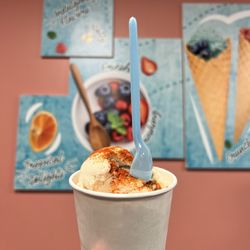 Kwality Ice cream