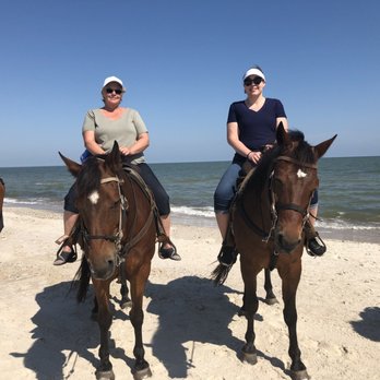 Two-bit Stable Horseback Riding On The Beach - Horseback Riding Near Me - Cape San Blas, Florida Two-bit Stable Horseback Riding On The Beach - Horseback Riding Near Me - Cape San Blas, Florida