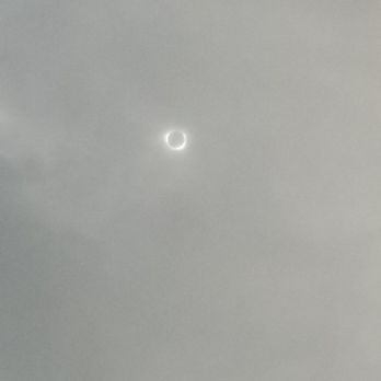 Solar Eclipse - Local Flavor Near Me