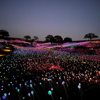 Sensorio - The main field - Art Galleries Near Me - Paso Robles, California