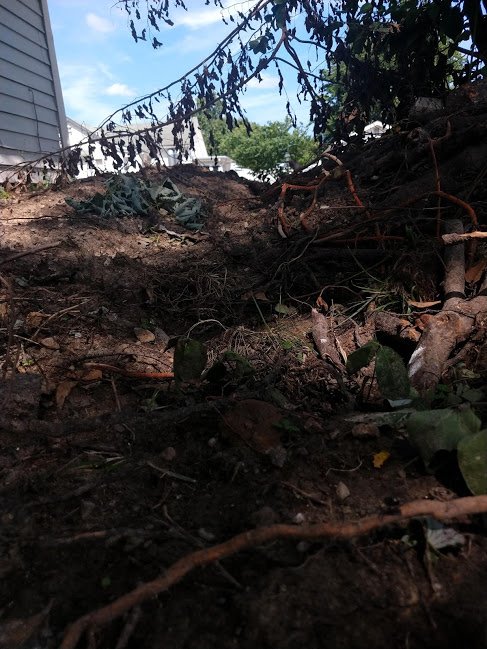 Slide of All American Pumping & Drain