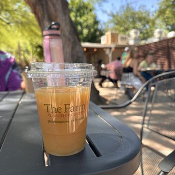Morning Glory Cafe - Breakfast & Brunch Near Me - Phoenix, Arizona
