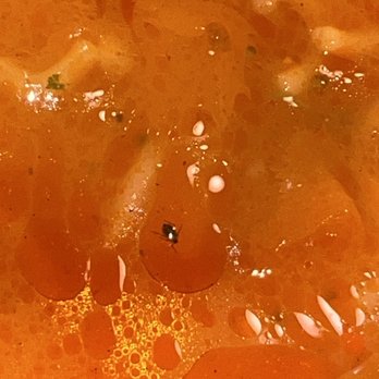 Fast Hot Pot - Found a bug in the food while I was eating  it was disgusting - Hot Pot Near Me - Tustin, California