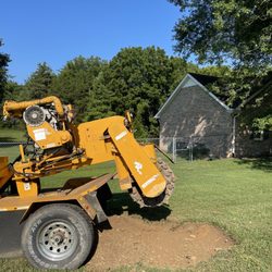 Austin Stump Removal