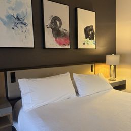 King room King room