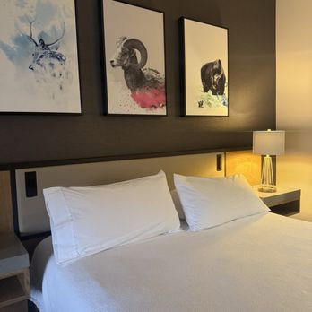 Hilton Garden Inn Bozeman - King room - Hotels Near Me - Bozeman, Montana Hilton Garden Inn Bozeman - King room - Hotels Near Me - Bozeman, Montana