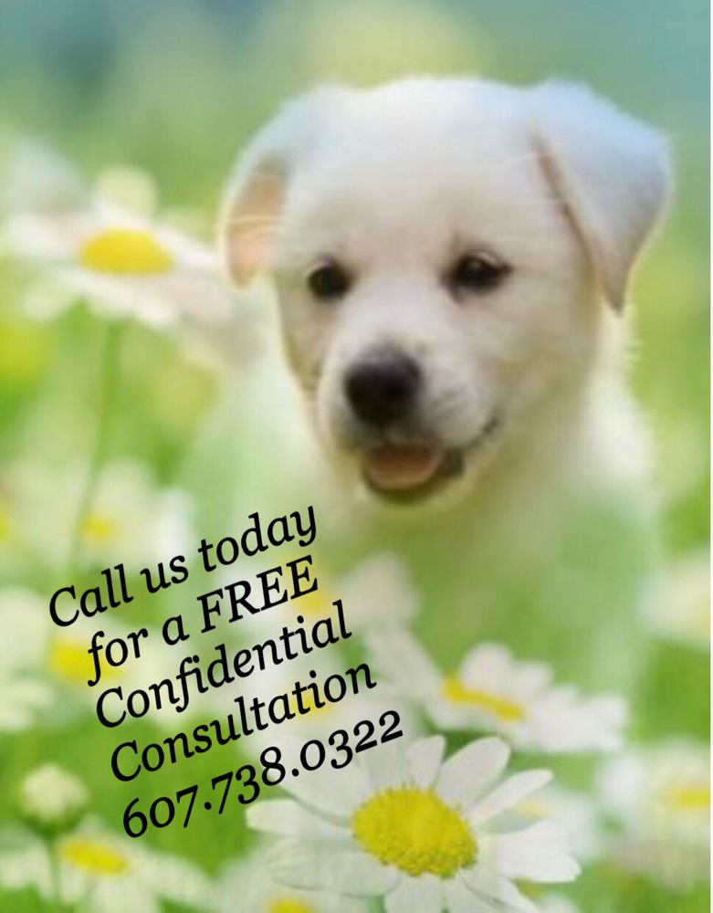 DAISY MAY ESTATE LIQUIDATIONS Updated June 2024 520 Balsam St