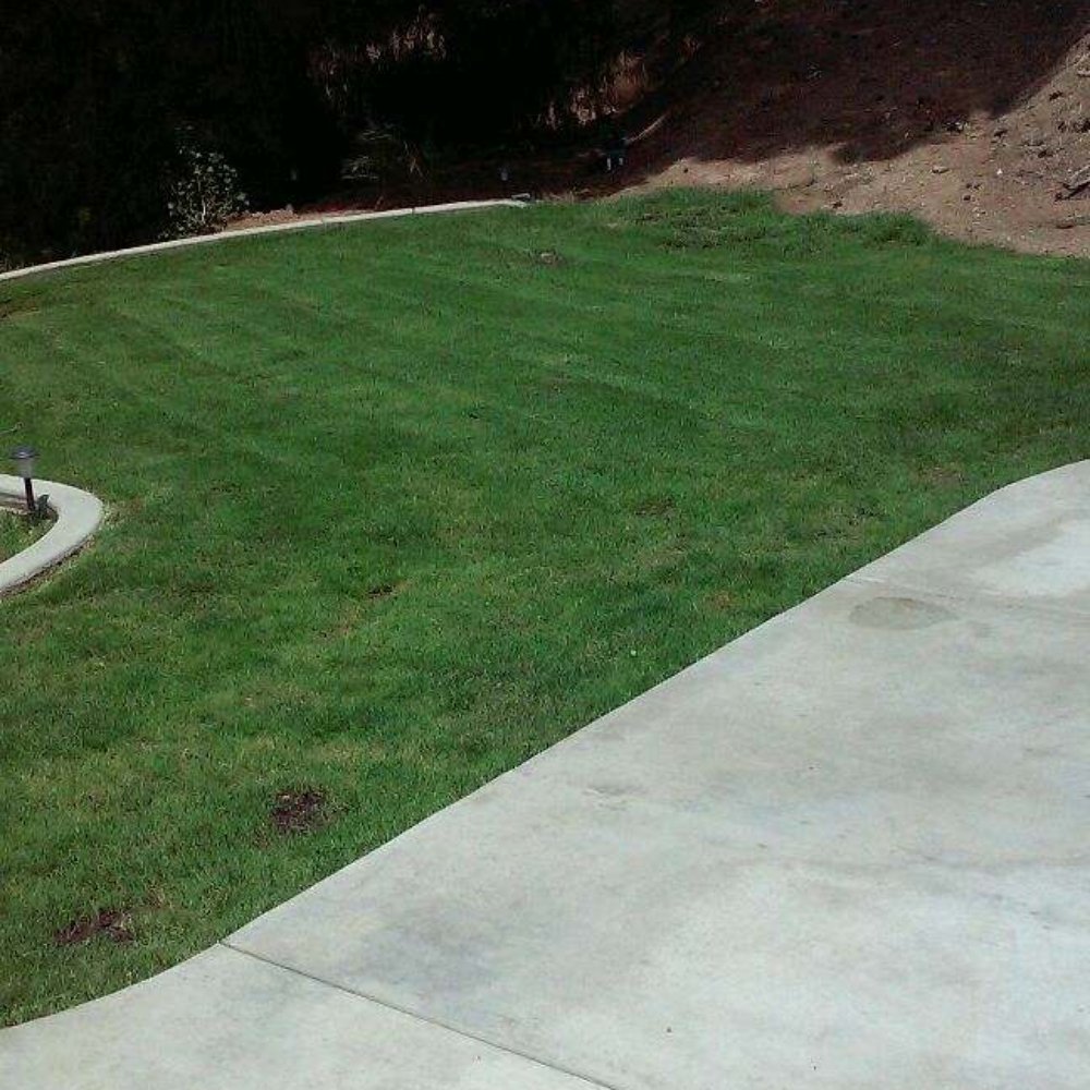 Back To Eden Landscapes - Backyard curb paved for grass area - Landscaping Near Me Back To Eden Landscapes - Backyard curb paved for grass area - Landscaping Near Me