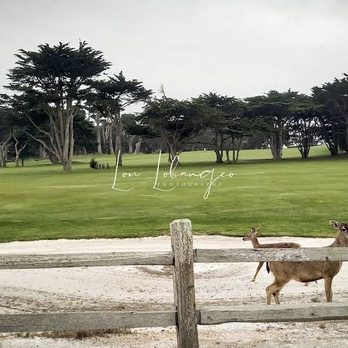 Pescadero Point - Local Flavor Near Me - Pebble Beach, California Pescadero Point - Local Flavor Near Me - Pebble Beach, California