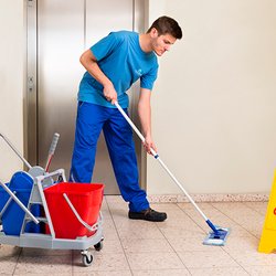 Nesy Cleaning Company