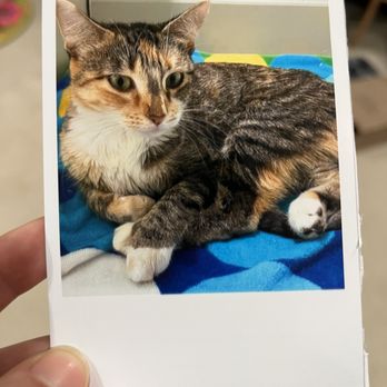 PetSmart - Cai - Pet Groomers Near Me - Garland, Texas