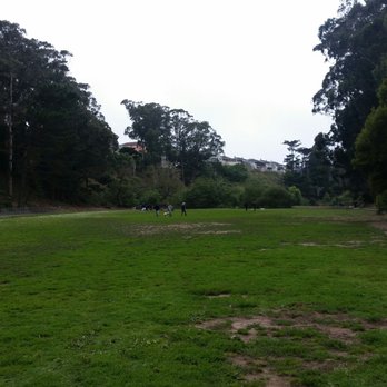 Pine Lake Park - Dog Parks Near Me - San Francisco, California
