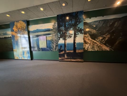 Grant Village by null