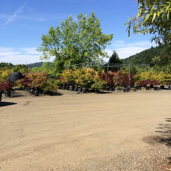 Clarks Water Garden - Nurseries & Gardening Near Me - Sutherlin, Oregon Clarks Water Garden - Nurseries & Gardening Near Me - Sutherlin, Oregon